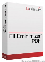 FILEminimizer PDF screenshot